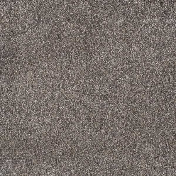 Home Decorators Collection Topaz I - Foxfire - Beige 40 oz. SD Polyester Texture Installed Carpet