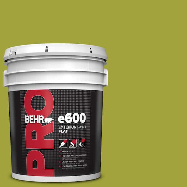BEHR PRO 5 gal. #S-H-400 Rolling Hills Flat Exterior Paint