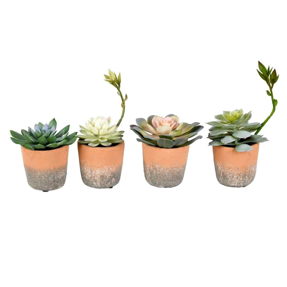 Vickerman 7 in. Artificial Multicolor Succulents in Pot, Set of 4