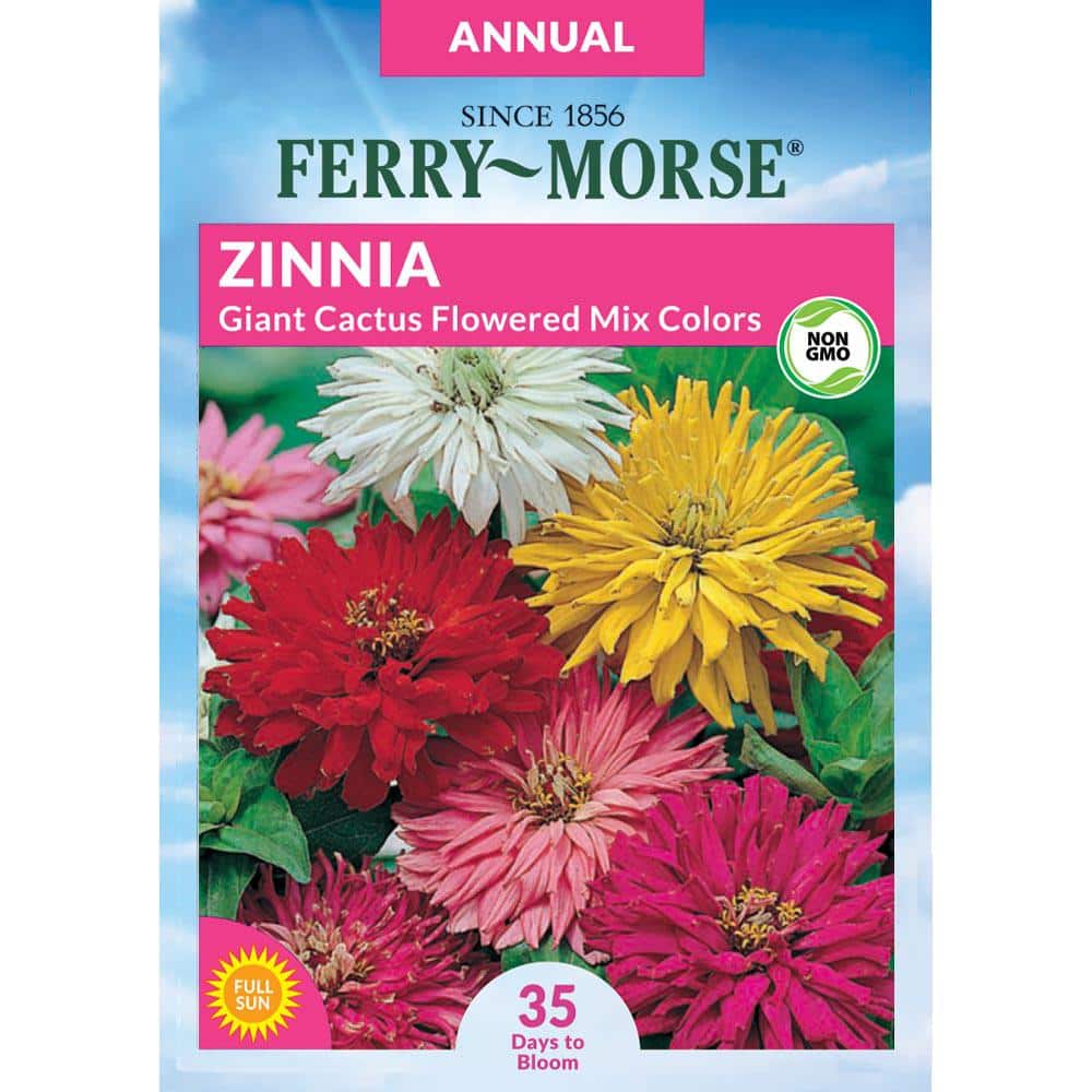 Ferry-Morse Zinnia Giant Cactus Flowered Mixed Colors Flower Seeds