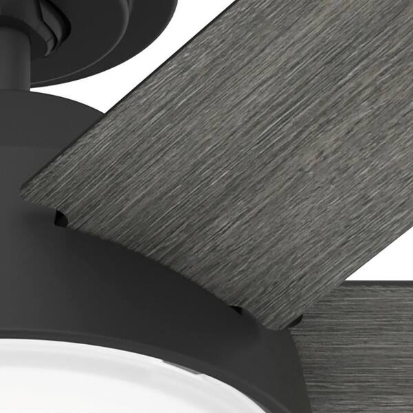 Hunter - Donatella 52 in. Integrated LED Indoor Matte Black Ceiling Fan with Light Kit and Remote Included