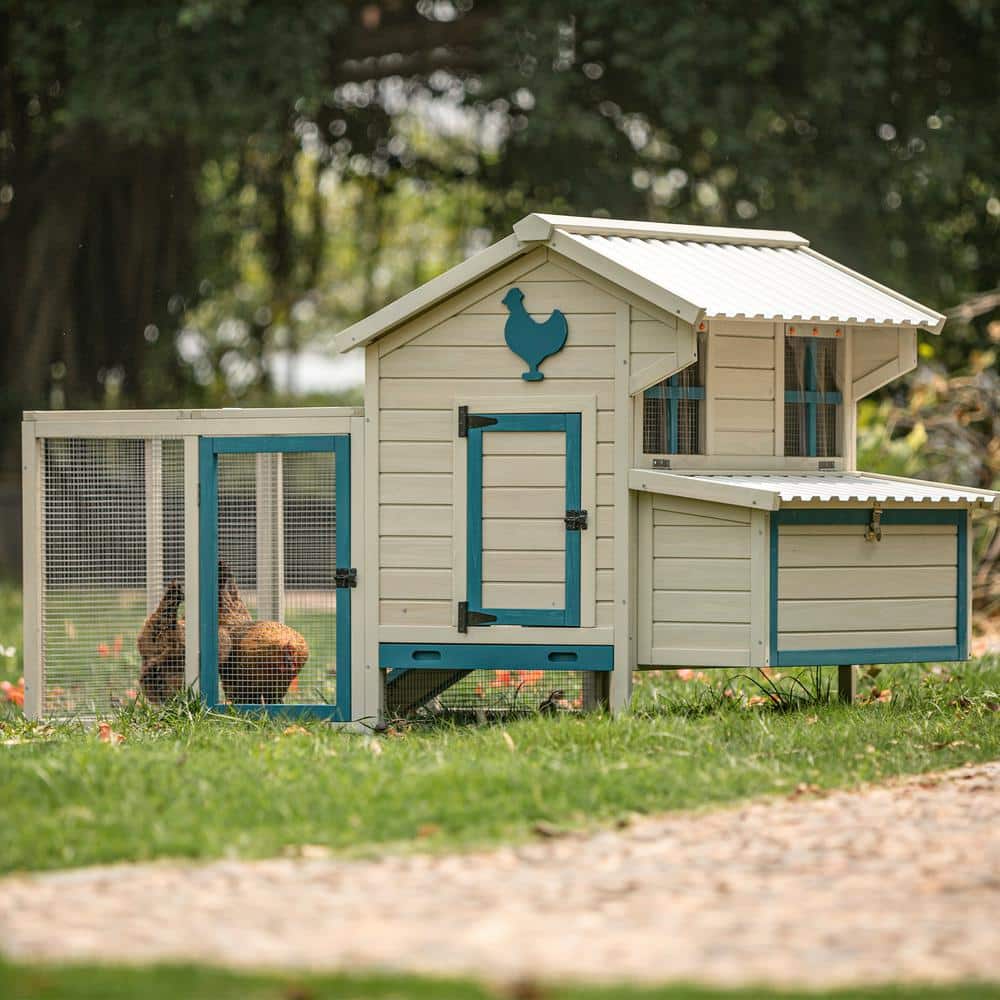 74" White and Blue Solid Wood Outdoor Chicken Coop with PVC Roof