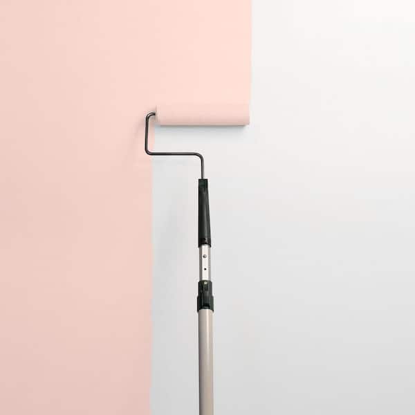 Texas Rose PPG1064-3 Paint