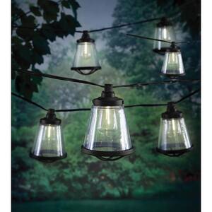 Outdoor/Indoor 11 ft. Plug-In LED ST38 Vintage Bulb String Light with Seedy Cage (10-Heads)