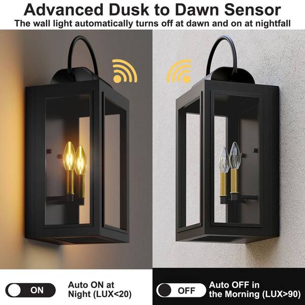 Maxax Hawaii 2-Light Sand Grain Black Dusk to Dawn Outdoor