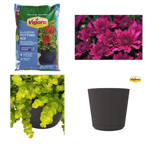 32 qt. Potting Soil Mix, 3 qt. Mum Plant (2-Pack), 1.8 Gal. Creeping Jenny in 11 in. Basket and 20 in. Black Planter