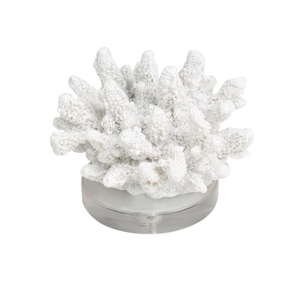 Sea Bowl: high quality Coral Sculpture