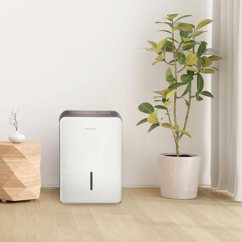 Energy Star White Portable Dehumidifier with Humidistat