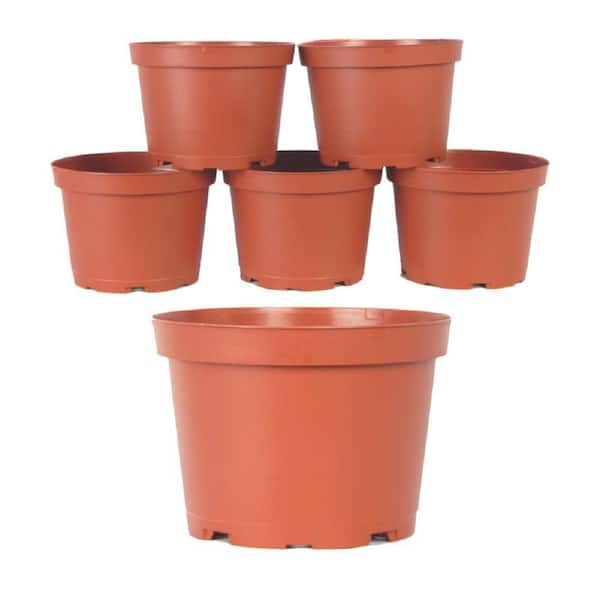 6 in. Plastic Round Pot (6-Pack)