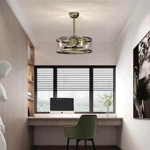 20 in. Indoor Brass Low Noise Caged Ceiling Fan