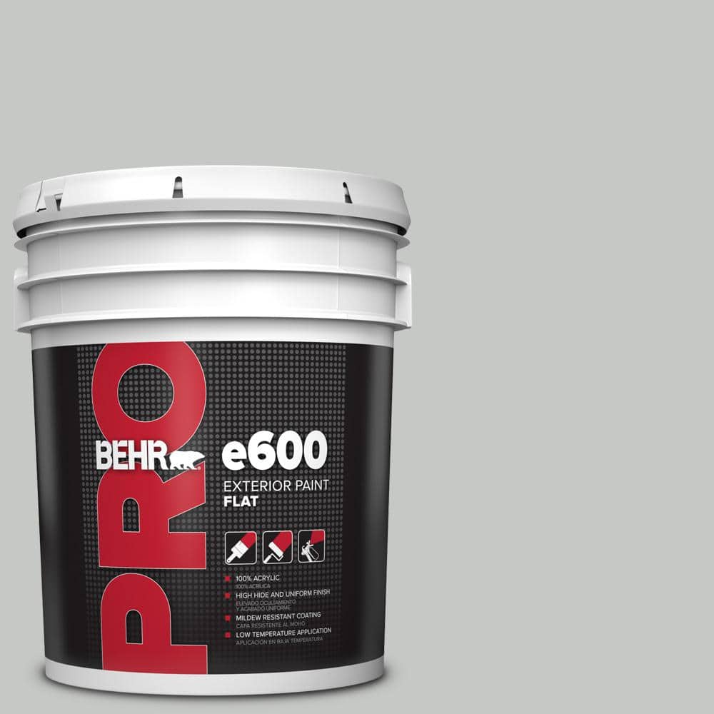 5 gal. #BNC-07 Frosted Silver Flat Exterior Paint price history on PriceWatchPro