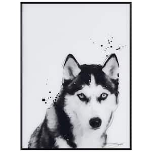 Empire Art Direct Dalmatian Black and White Pet Paintings on Printed  Glass Encased with a Gunmetal Anodized Frame AAGB-JP1032-2418 - The Home  Depot