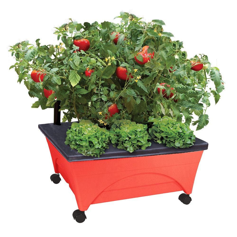 CITY PICKERS 24.5 in. x 20.5 in. Patio Raised Garden Bed Kit with Watering  System and Casters in Tomato Red 2344-1HD - The Home Depot