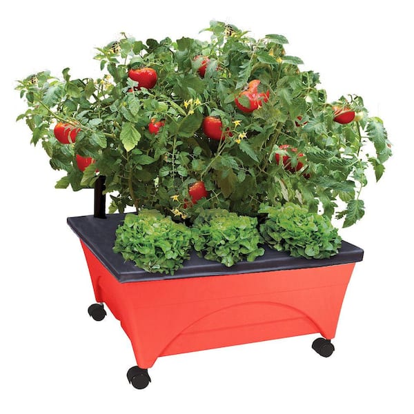 CITY PICKERS 24.5 in. x 20.5 in. Patio Raised Garden Bed Kit with Watering System and Casters in Tomato Red