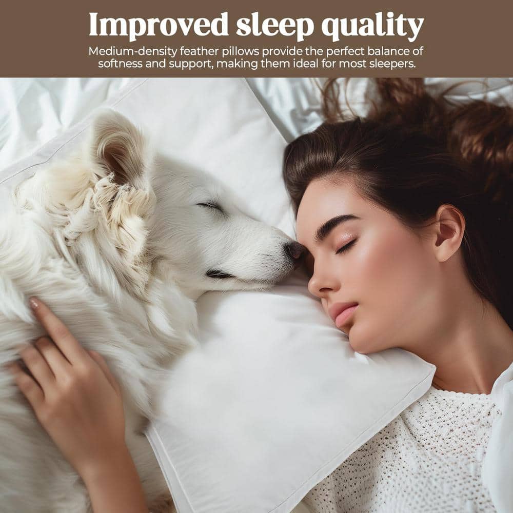 Standard Size White Cotton Goose Down Sleeping Pillows Set of 2