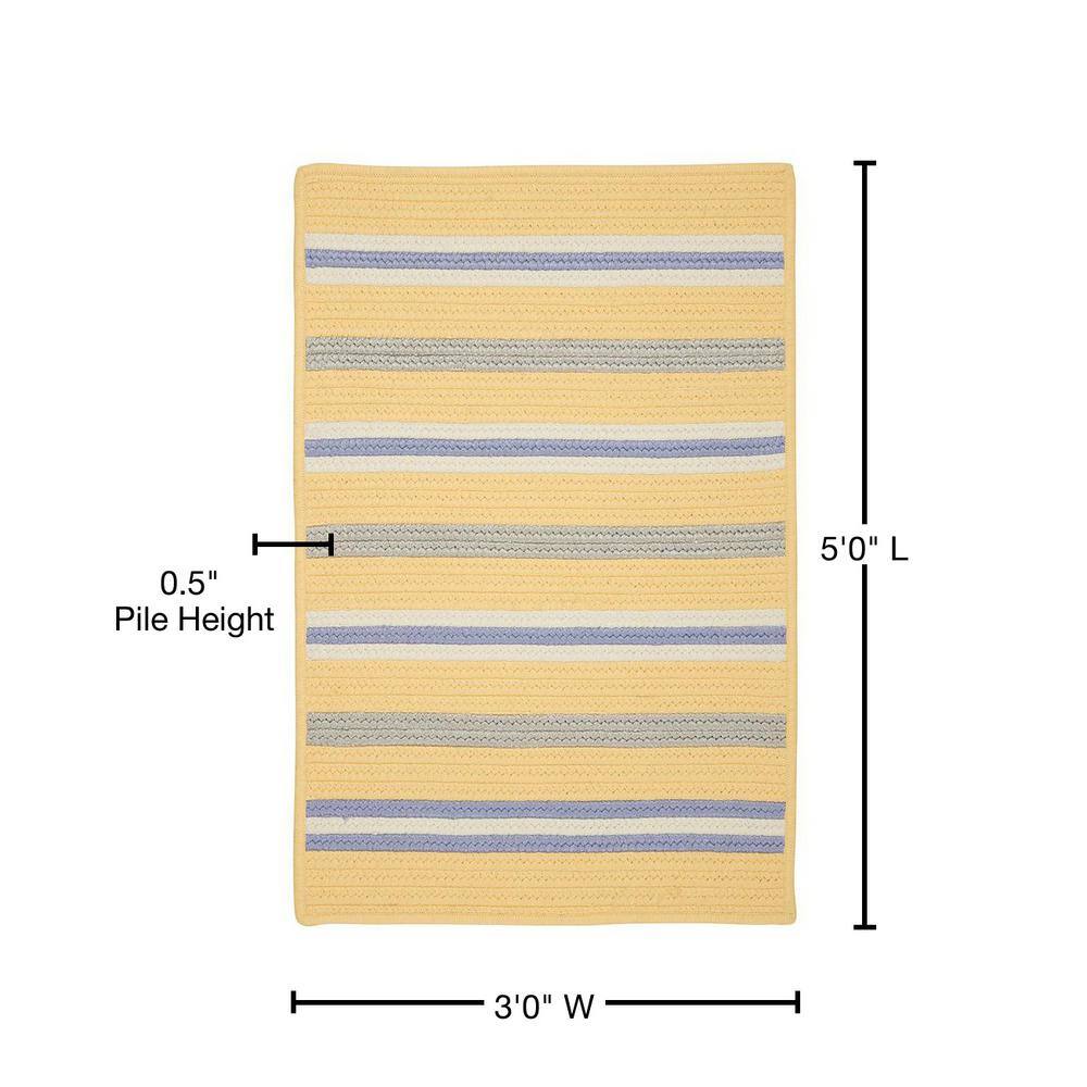 Summer Sun Yellow and Purple Braided Synthetic Rug 3' x 5'