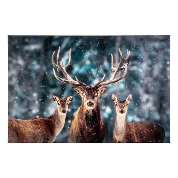 Yosemite Home Decor "Rangale" Unframed Color Animals Photography Wall Art 32 in. x 47 in .