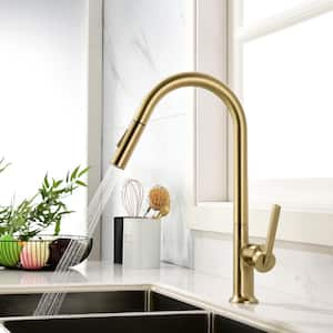 Single Handle Pull Out Sprayer Kitchen Faucet with Advanced 2-Setting Spray in Brushed Gold