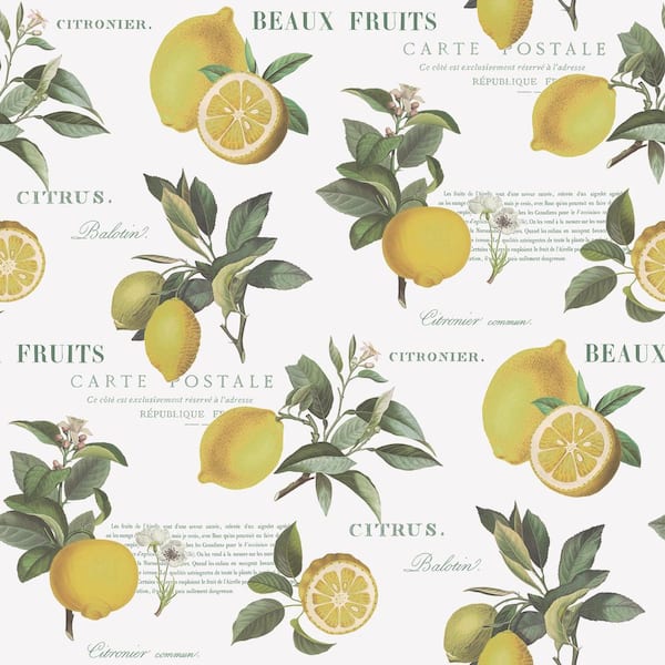 Unbranded Citron Botanical Yellow/Green/White Matte Finish Vinyl on Non-Woven Non-Pasted Wallpaper Roll