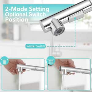 2 Sprayer Single Hole Single-Handle Pull Out Kitchen Faucet 360°Swivel Spout in Polished Chrome