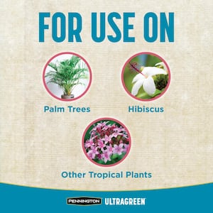 Ultragreen 5 lbs. Palm Tree and Hibiscus Plant Food 9-4-9