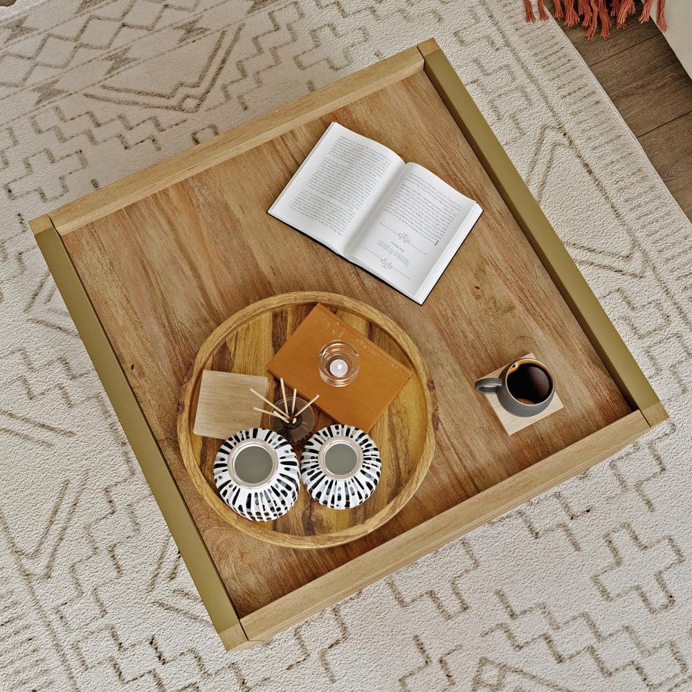 Sindoori Mango Modern Square Coffee Table with Storage