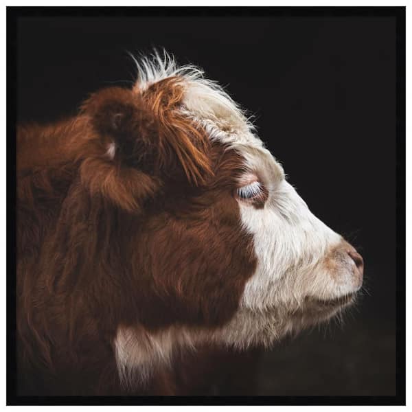 Svelte "Cow Profile" by Emiko and Mark Franzen F2 Images Cow Framed Art Print 33 in. x 33 in.