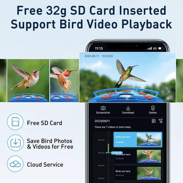 Wyze Camera Red Plastic Hummingbird Feeder Camera With Ant Moat