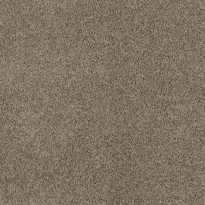 Tailored Trends I Subtle Gray 34 oz. Polyester Textured Installed Carpet