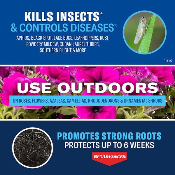 4 lbs. Granules Shrub Care Protect and Feed