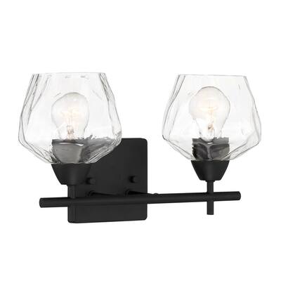 Camrin 14 in. 2-Light Coal Vanity Light with Clear Glass Shades