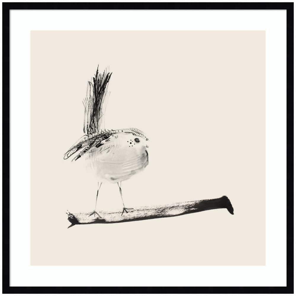 "Svelte ""Sketched Bird On Branch"" by Danushka Abeygoda Animals Framed Art Print 33 in. x 33 in." price history on PriceWatchPro