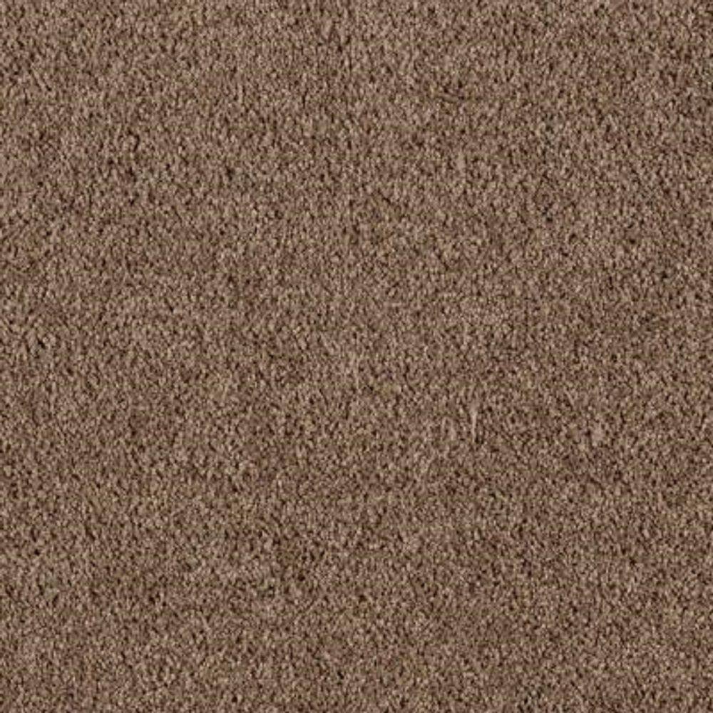 8 in. x 8 in. Texture Carpet Sample - Ambrosina I -Color Timberline price history on PriceWatchPro