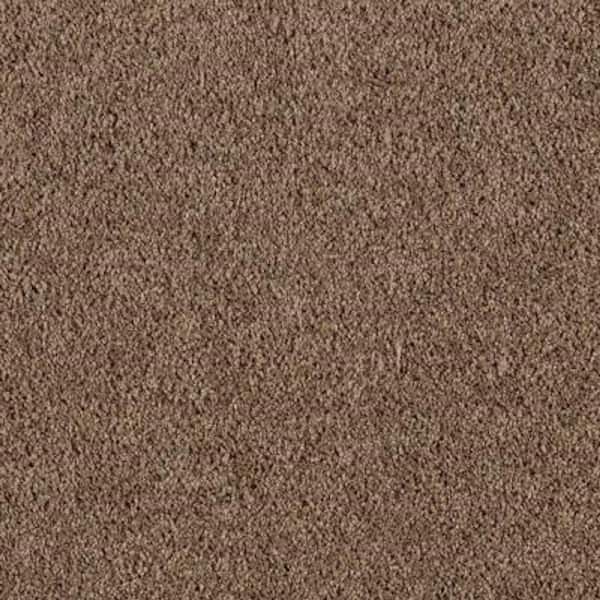 Lifeproof 8 in. x 8 in. Texture Carpet Sample - Ambrosina I -Color Timberline