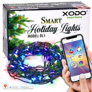 Smart Christmas Lights Outdoor/Indoor 35 ft. Plug-In Globe Bulb LED String Light Compatible with Alexa/Google Assistant