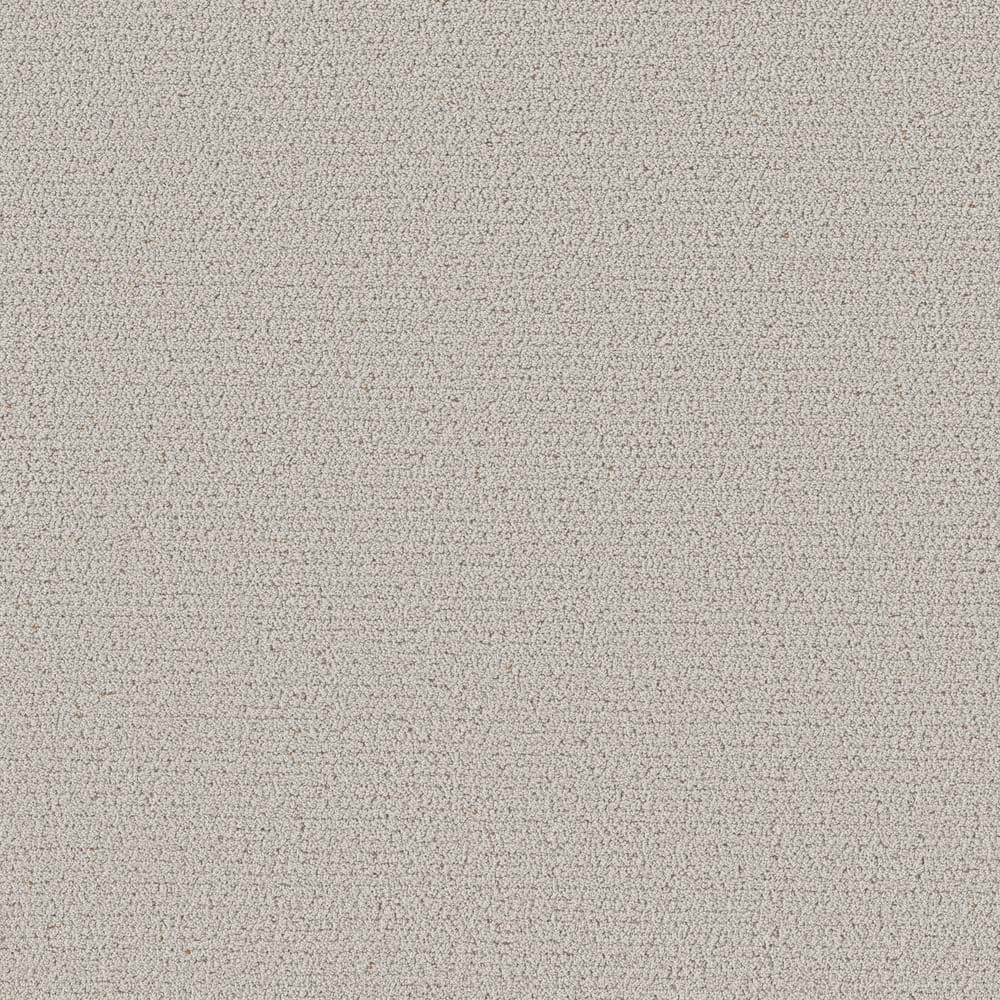 8 in. x 8 in. Pattern Carpet Sample - Night Owl -Color Beryl price history on PriceWatchPro