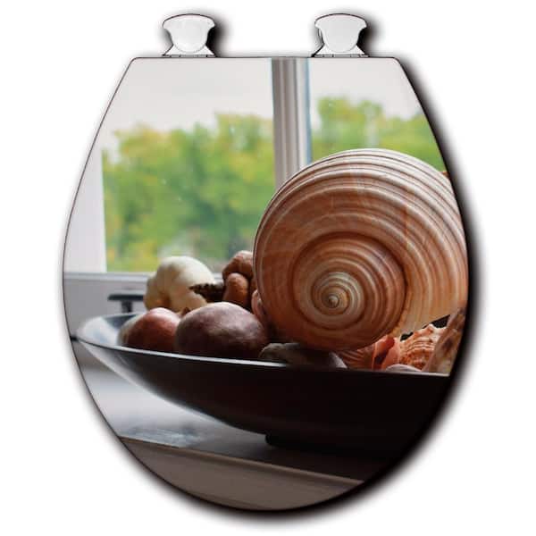 Unbranded Shells on the Shelf Round Closed Front Toilet Seat in White