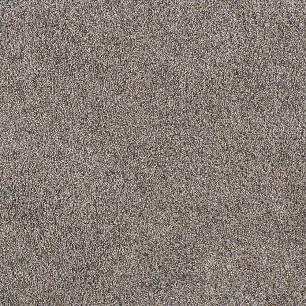 8 in. x 8 in. Texture Carpet Sample - Topaz I - Color Moose price history on PriceWatchPro