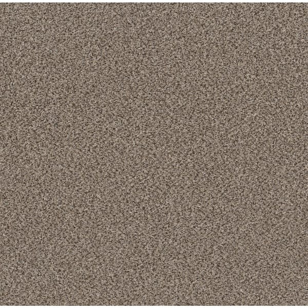 Home Decorators Collection Columbus I - Coco - Gray 56.2 oz. SD Polyester Texture Installed Carpet
