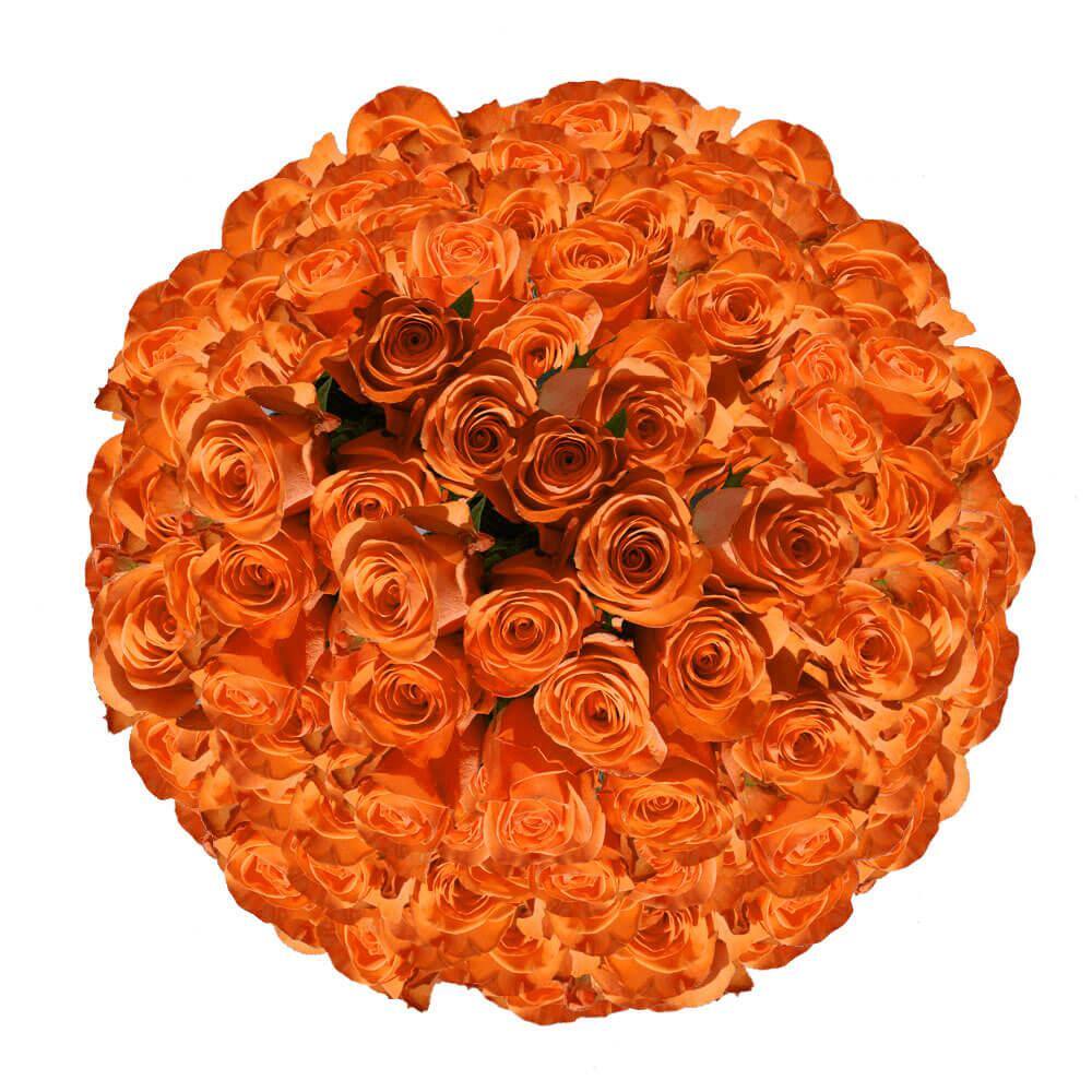 Globalrose 750Stems of Solid Orange Color Roses Fresh Flower Delivery