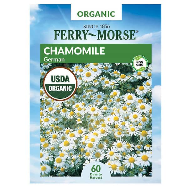 Organic Chamomile Herb Seed