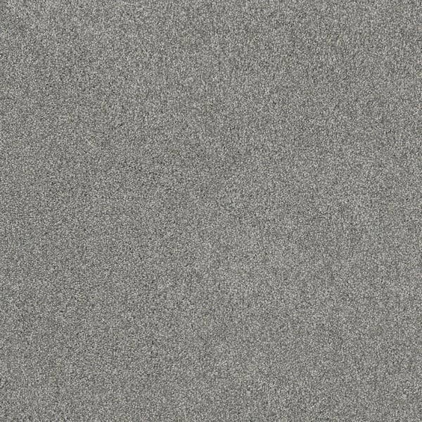 Lifeproof Misty Meadows II- Evanston Gray - 60 oz. SD Polyester Texture Installed Carpet