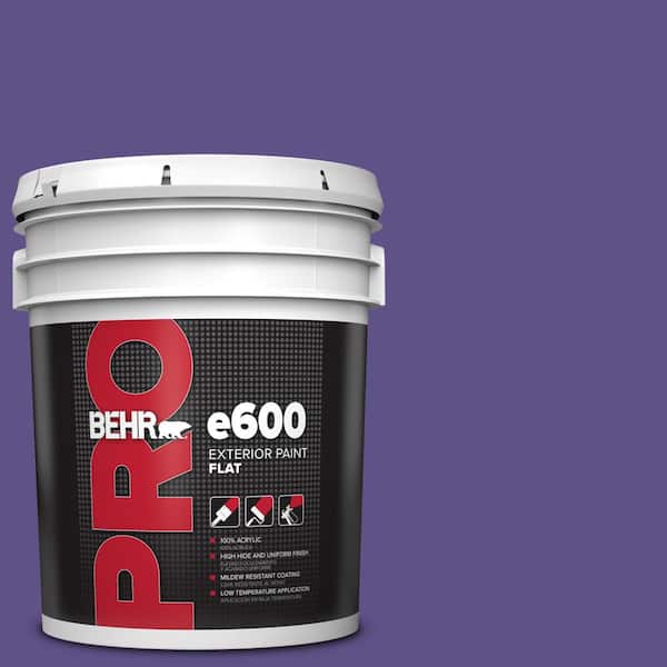 BEHR PRO 5 gal. #P560-7 Kings Court Flat Exterior Paint
