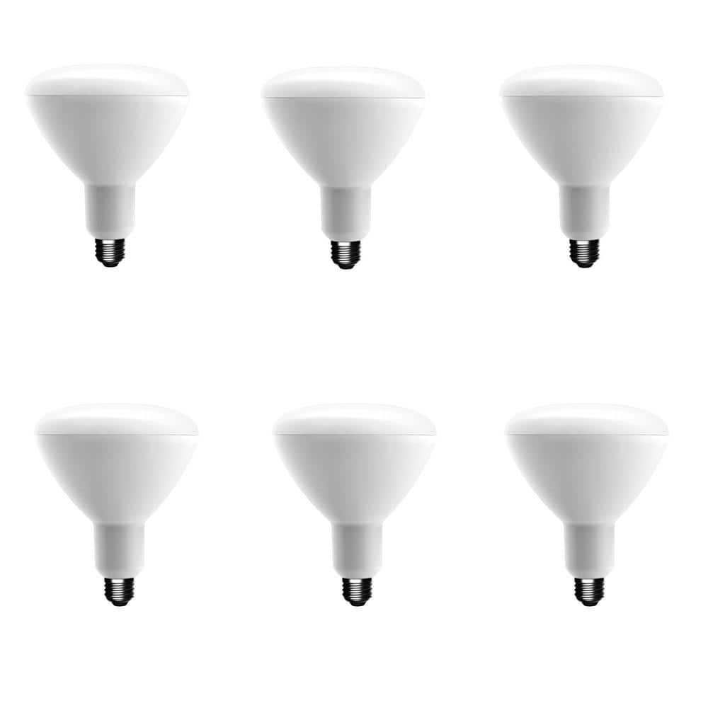 75-Watt Equivalent BR40 Dimmable CEC LED Light Bulb Soft White (6-Pack)