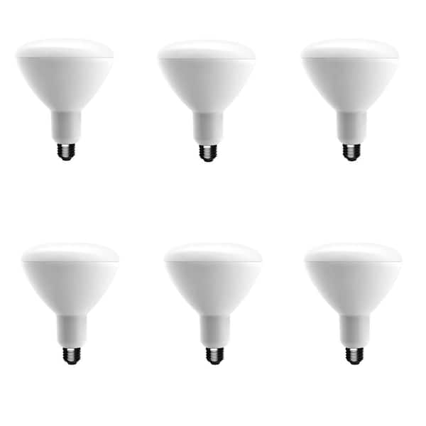 Unbranded 75-Watt Equivalent BR40 Dimmable CEC LED Light Bulb Soft White (6-Pack)