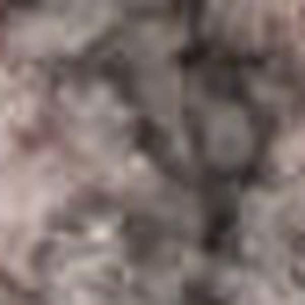 6' X 9' Beige And Gray Floral Area Rug