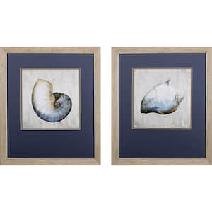 Victoria Ocean Seashells by Unknown Wooden Wall Art (Set of 2)