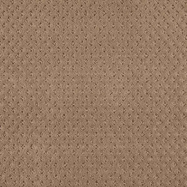 Lifeproof with Petproof Technology Lilypad - Native Soil Indoor Pattern Brown Carpet