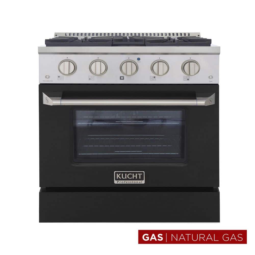 Pro-Style 30 in. 4.2 cu. ft. Natural Gas Range and Convection Oven in Stainless Steel and Black Oven Door price history on PriceWatchPro