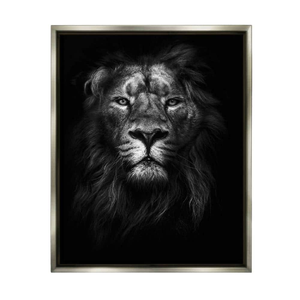 The Stupell Home Collection King of the Jungle Lion In Shadows Photography Design Fabrikken Floater Frame Animal Wall Art Print 21 in. x in. aap-294_ffl_16x20 - The Home Depot